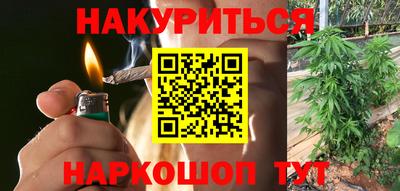 спайс Тара