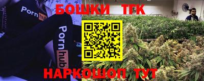 спайс Тара
